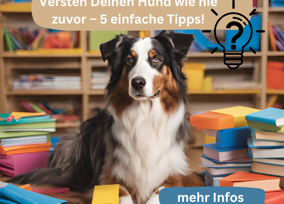 Meine Arbeit – Fellnasen